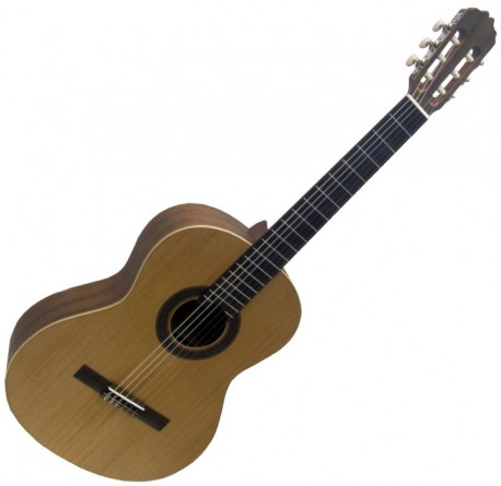 Prodipe STUDENT 4/4 Guitarra española envío gratis