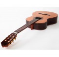 Altamira N300+ Guitarra Clásica envio gratis