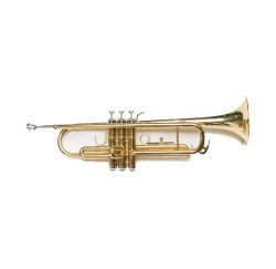 Amadeus TP807L Trompeta dorada envio gratis