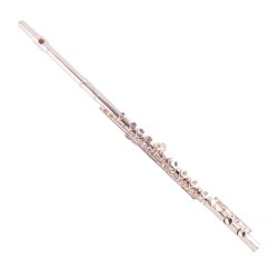 Amadeus FL805SO flauta travesera plateada envio gratis