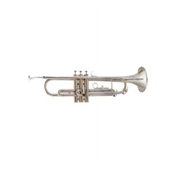 Amadeus TP807N trompeta niquelada envio gratis