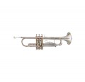 Amadeus TP807N trompeta niquelada envio gratis