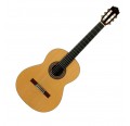 Jose Torres JTC-50 guitarra clásica envio gratis