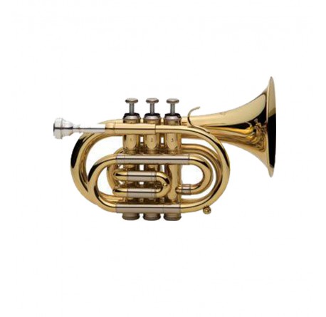 J. Michael TR350 trompeta de bolsillo en si bemol envio gratis