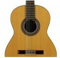 Jose Torres JTC-20 guitarra española tamaño 4/4 envio gratis