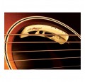 L.R.Baggs Anthem Pastilla para guitarra acustica envio gratis