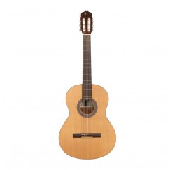 Jose Torres JTC-20S guitarra clásica satinada envio gratis