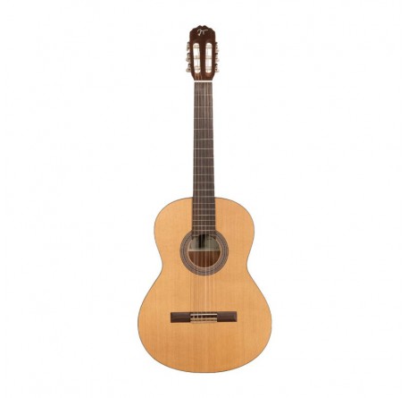 Jose Torres JTC-20S guitarra clásica satinada envio gratis