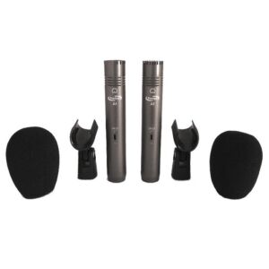 Prodipe A1 DUO Lanen Micrófonos de estudio envio gratis