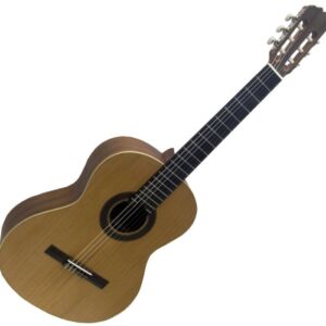 Prodipe STUDENT 4/4 Guitarra española envío gratis