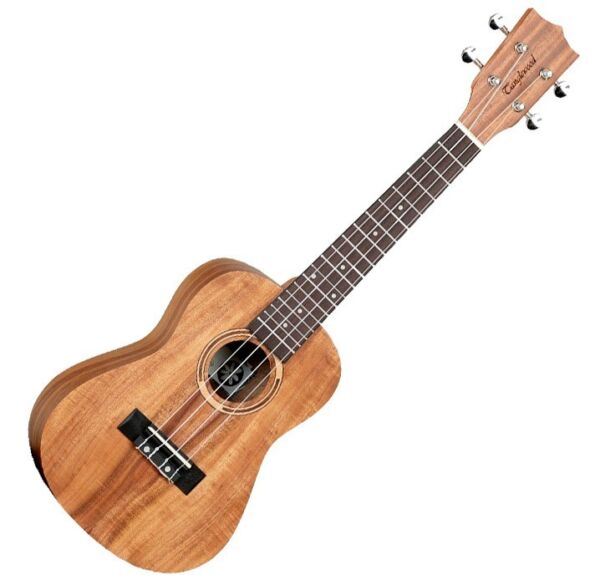 Tanglewood TWT8 Ukelele concierto natural envio gratis