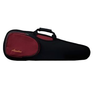 Estuche para violin Amadeus VNC-118 1/8 envío gratis