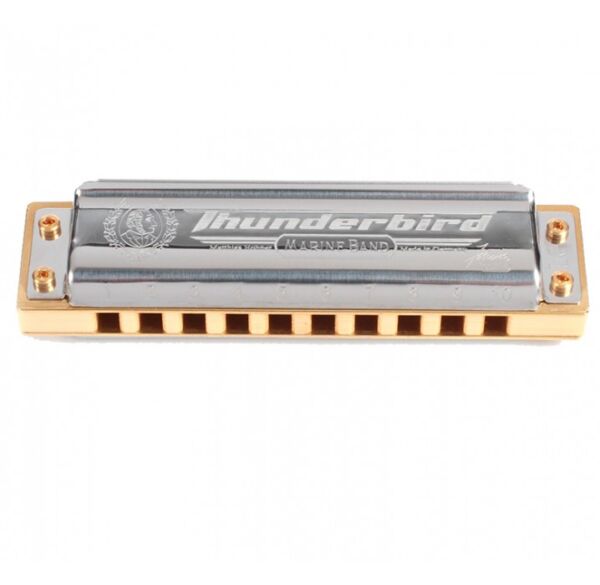 Hohner Marine Band Thunderbird LC armónica diatónica envio gratis