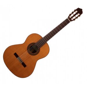 Altamira N300+ Guitarra Clásica envio gratis