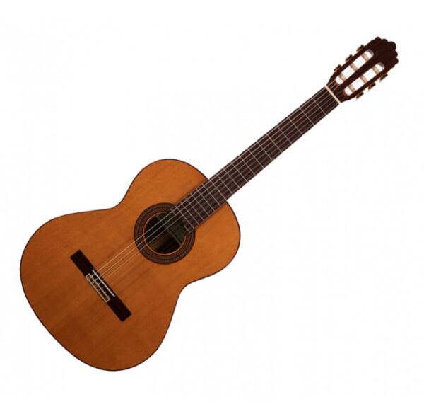 Altamira N300+ Guitarra Clásica envio gratis