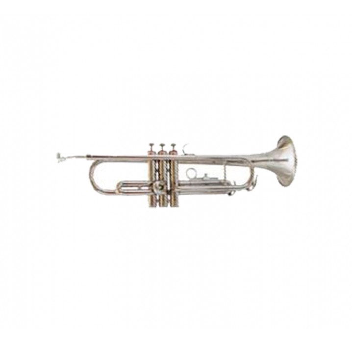 Amadeus TP807N trompeta niquelada envio gratis