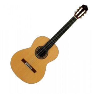 Jose Torres JTC-50 guitarra clásica envio gratis