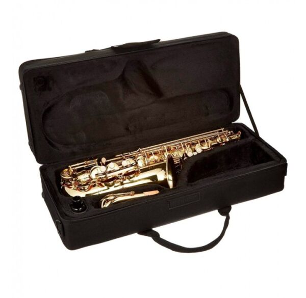 J.Michael AL500 saxo alto lacado envio gratis