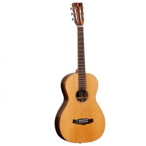 Tanglewood TWJPE guitarra acústica Parlour envio gratis