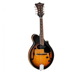 Tanglewood TWMFVSE mandolina envio gratis