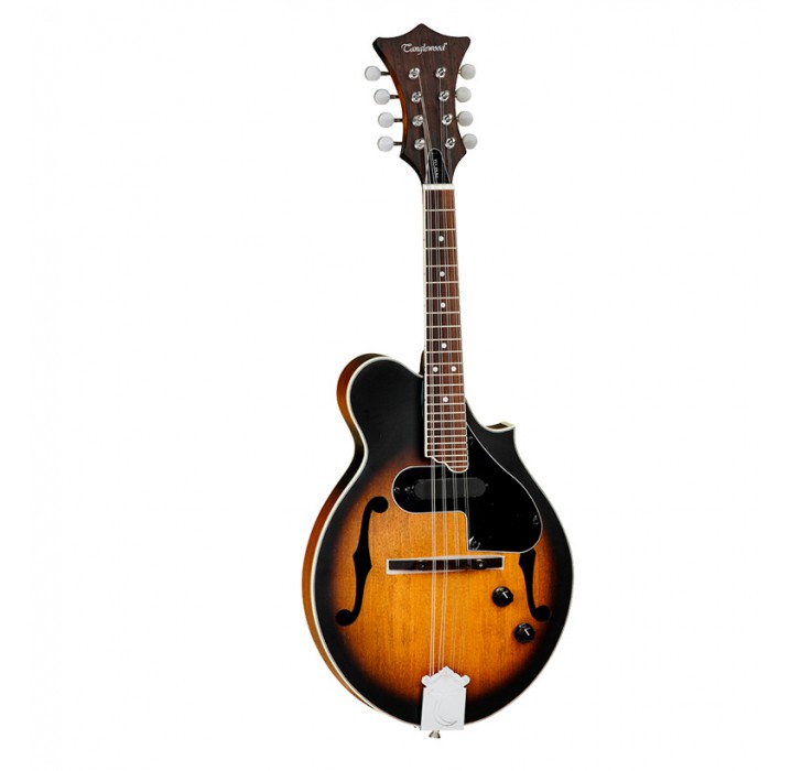 Tanglewood TWMFVSE mandolina envio gratis