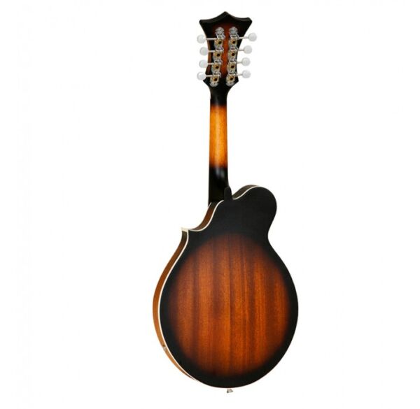 Tanglewood TWMFVSE mandolina envio gratis