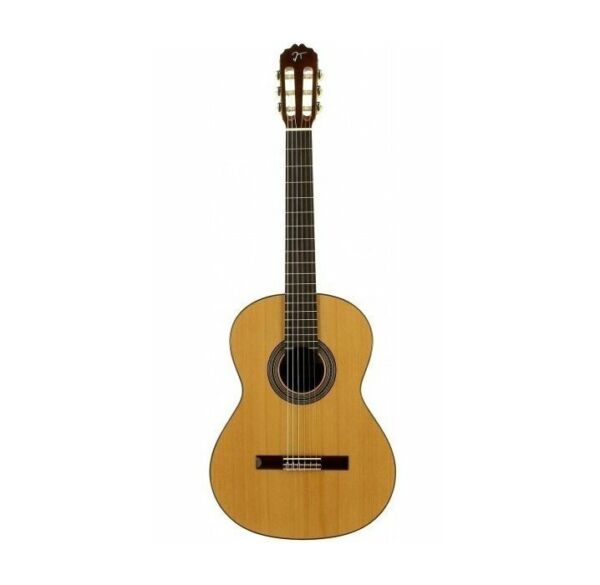 Jose Torres JTC-20 guitarra española tamaño 4/4 envio gratis