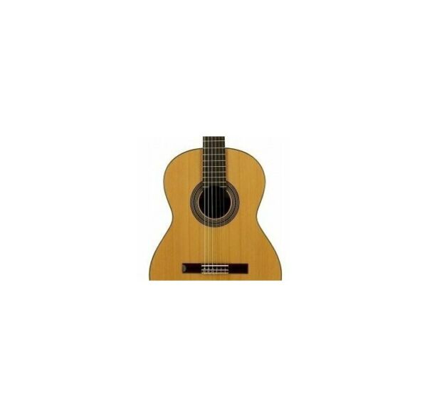 Jose Torres JTC-20 guitarra española tamaño 4/4 envio gratis