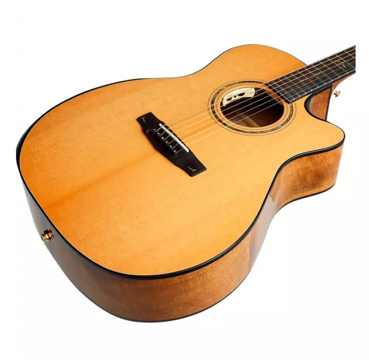 Cort Gold Edge guitarra acústica natural con estuche envio gratis