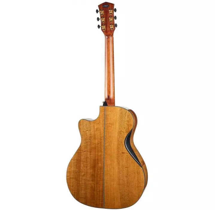 Cort Gold Edge guitarra acústica natural con estuche envio gratis