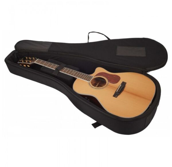 Cort Gold-A8 guitarra electroacústica en color natural envio gratis