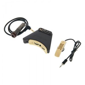 L.R.Baggs Anthem Pastilla para guitarra acustica envio gratis