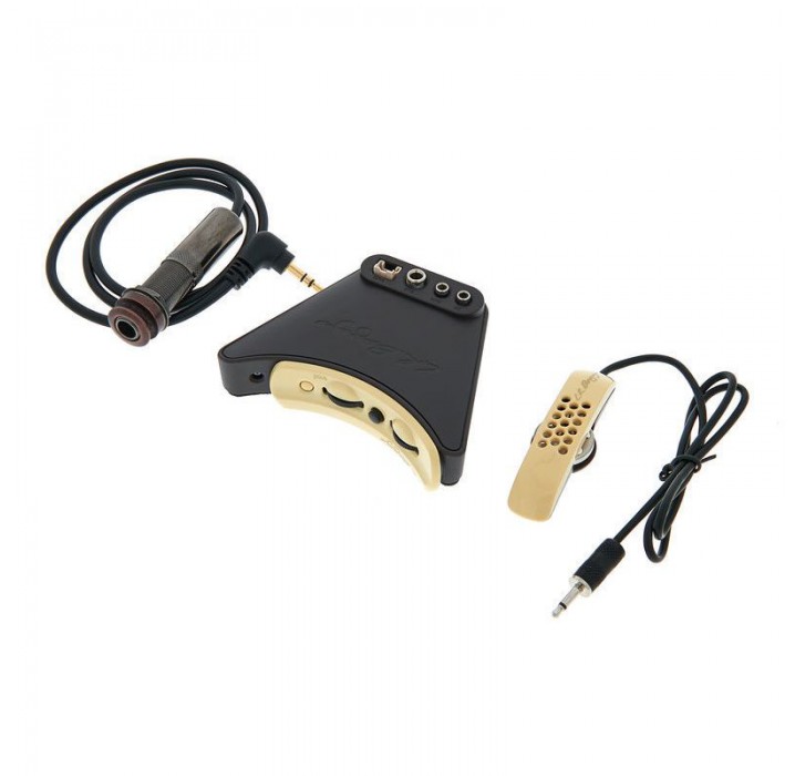 L.R.Baggs Anthem Pastilla para guitarra acustica envio gratis