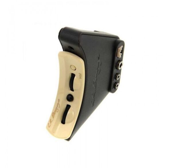 L.R.Baggs Anthem Pastilla para guitarra acustica envio gratis