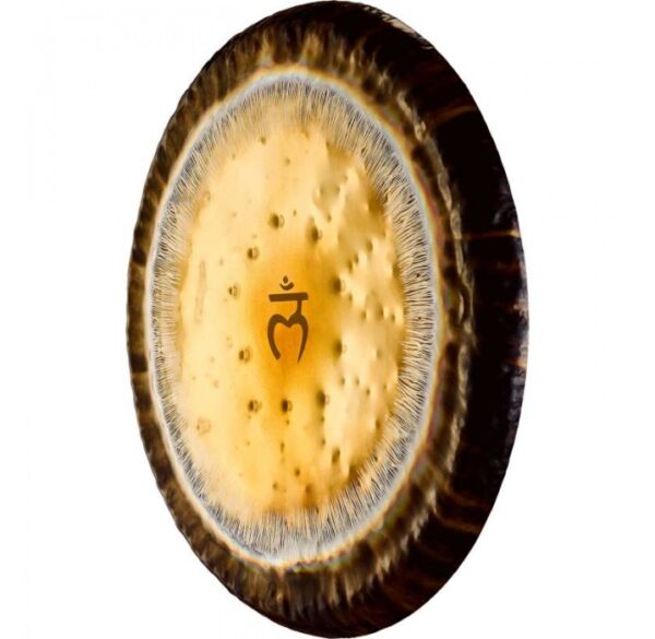 Meinl Sonic Energy Chakra Gong 24" Raiz G24RC1 envio gratis