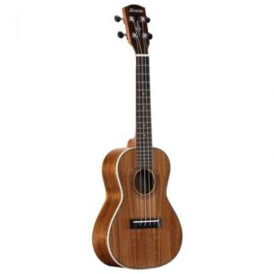 Alvarez RU90CP pack de ukelele concierto envio gratis