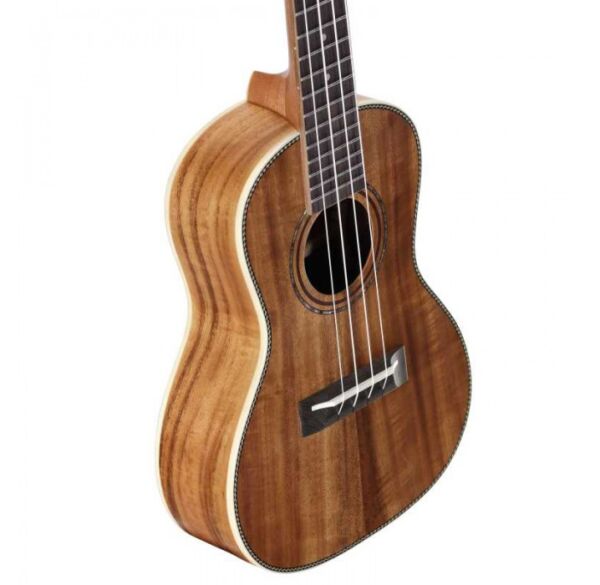 Alvarez AU90C ukelele concierto envio gratis