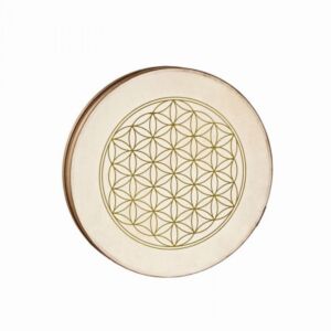 Meinl Sonic Energy Wd16Fol Pandereta envio gratis