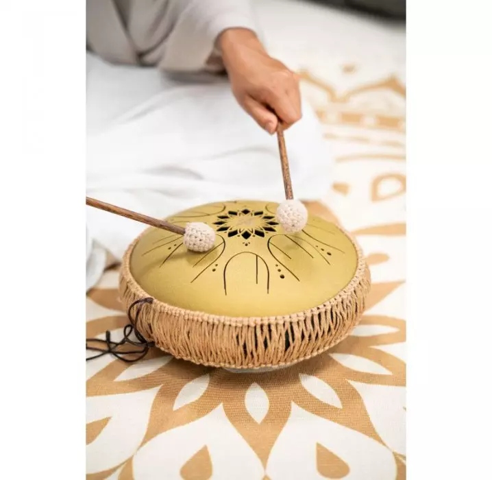 Meinl Sonic Energy MOSTD3G tambor de lenguas envio gratis