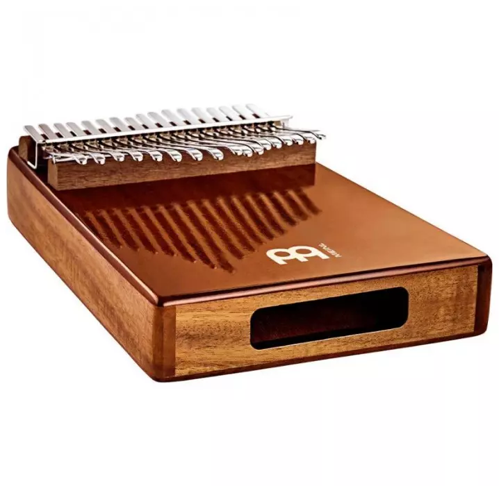 Meinl Sonic Energy KL1705H Kalimba envio gratis
