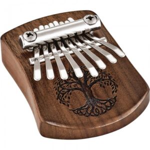Meinl Sonic Energy KL801TOL Kalimba envio gratis