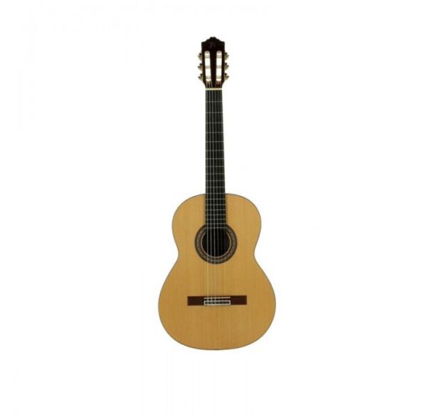 Jose torres JTC-50C guitarra clásica + funda acolchada envio gratis