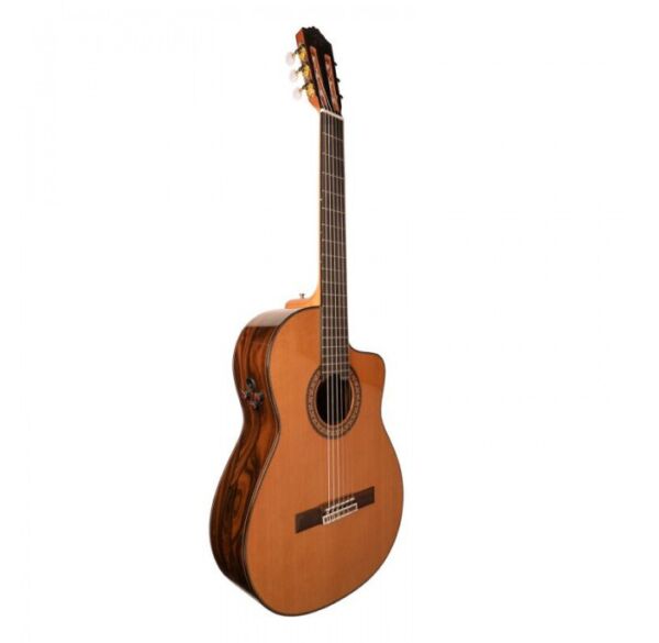 Jose Torres JTC-100CE guitarra electroclásica envio gratis