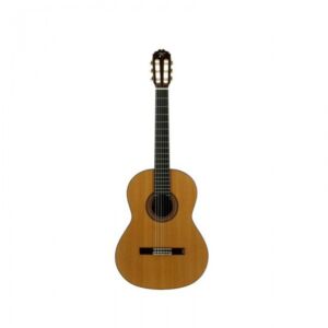 Jose Torres  JTC-40 guitarra clásica envio gratis