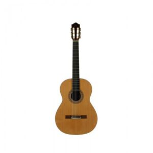 Jose Torres JTC-75 guitarra clásica tapa maciza envio gratis