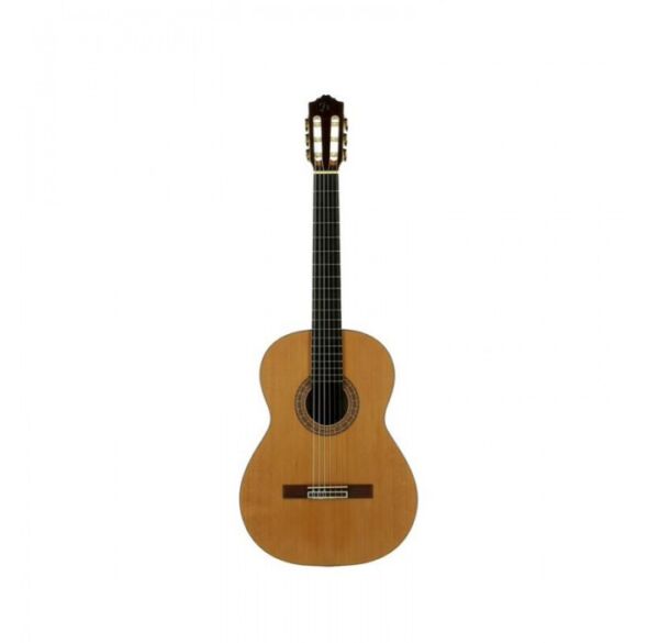 Jose Torres JTC-75 guitarra clásica tapa maciza envio gratis