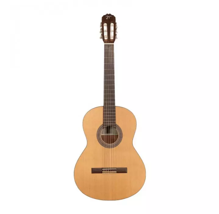 Jose Torres JTC-20S guitarra clásica satinada envio gratis