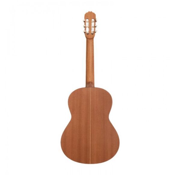 Jose Torres JTC-20S guitarra clásica satinada envio gratis