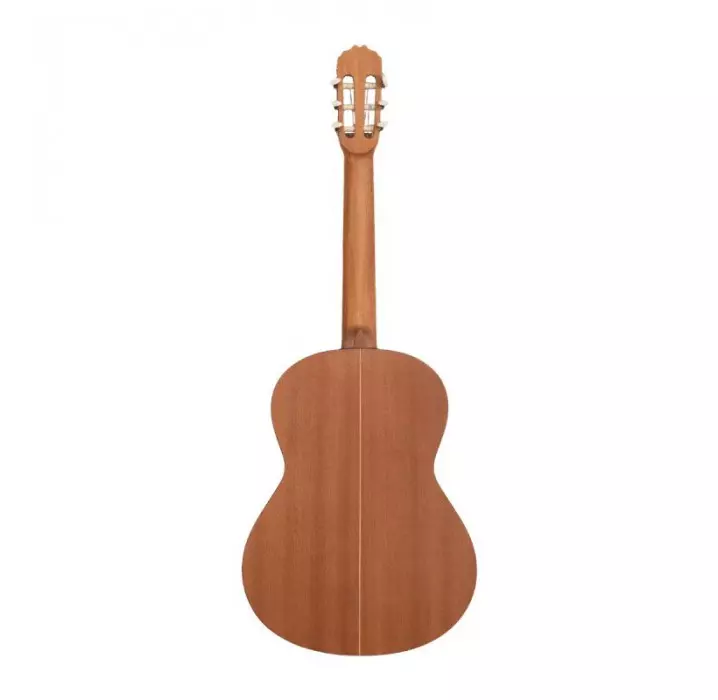Jose Torres JTC-20S guitarra clásica satinada envio gratis