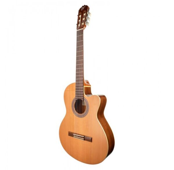Jose Torres JTC-10CC crossover guitarra clásica electrificada envio gratis